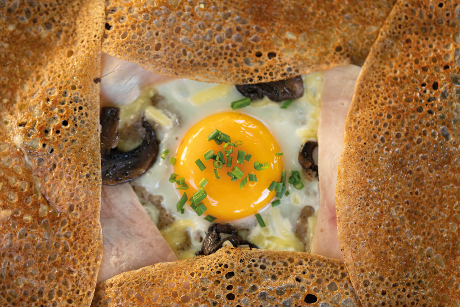 Meilleures idees de collecte de fonds etranges et amusantes - FasterCapital, image size:1500x1000