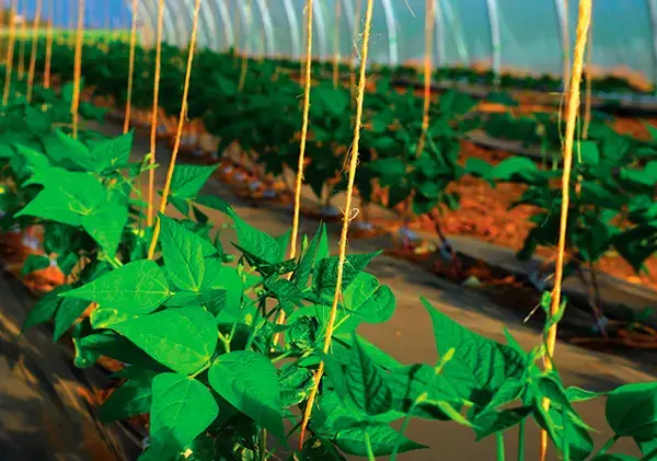 Photo représentative de l'adresse