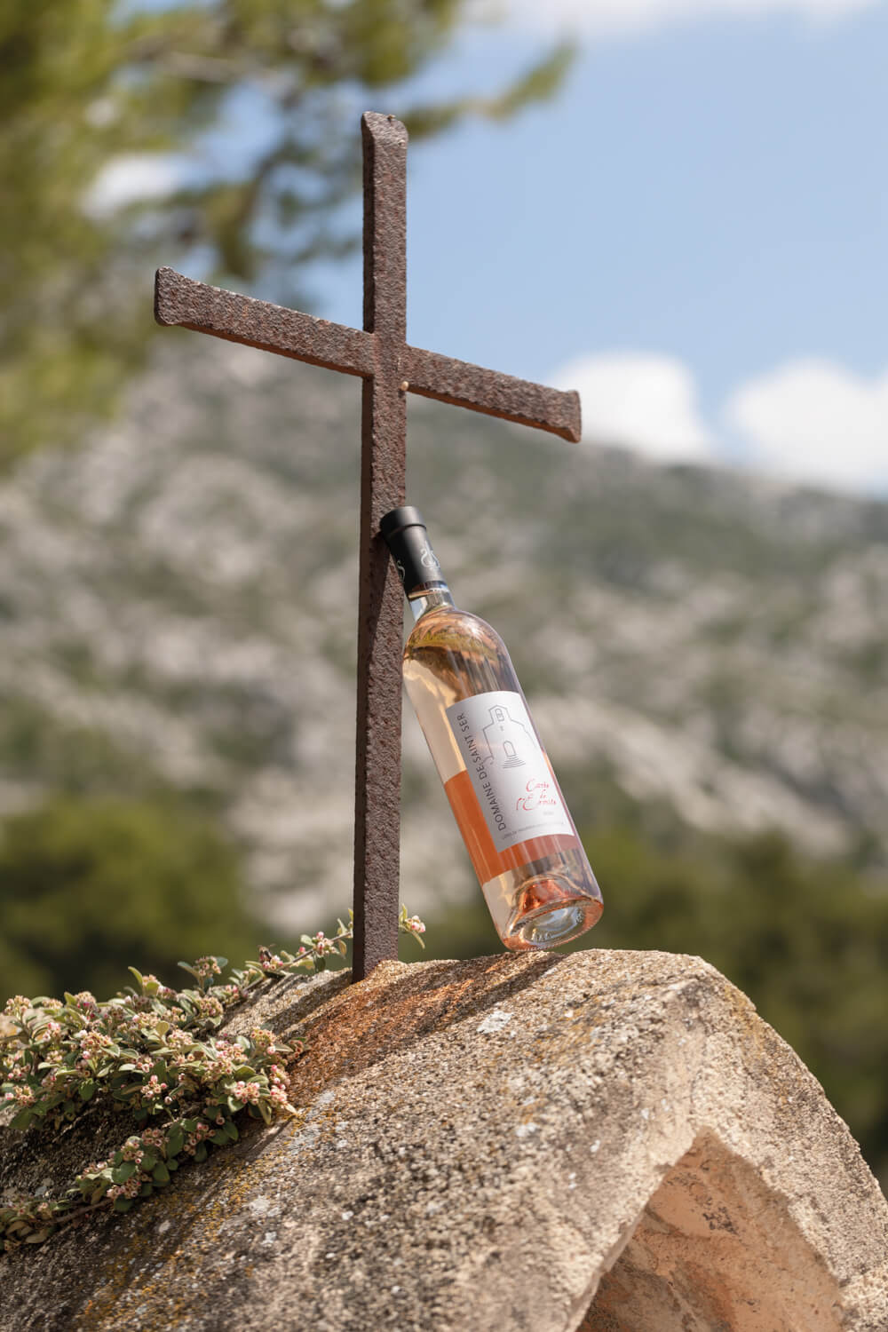 Domaine de Saint-Ser