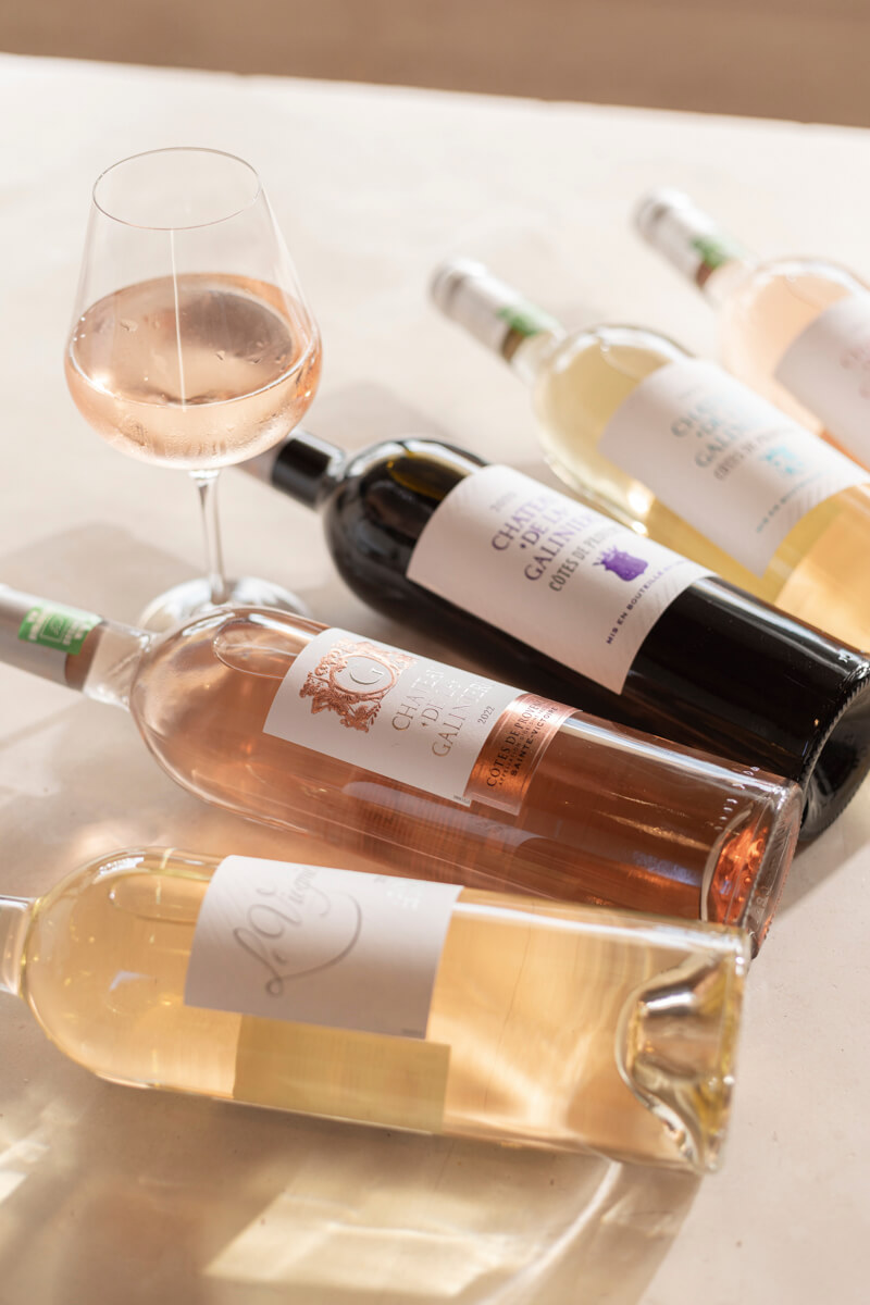 Château de la Galinière