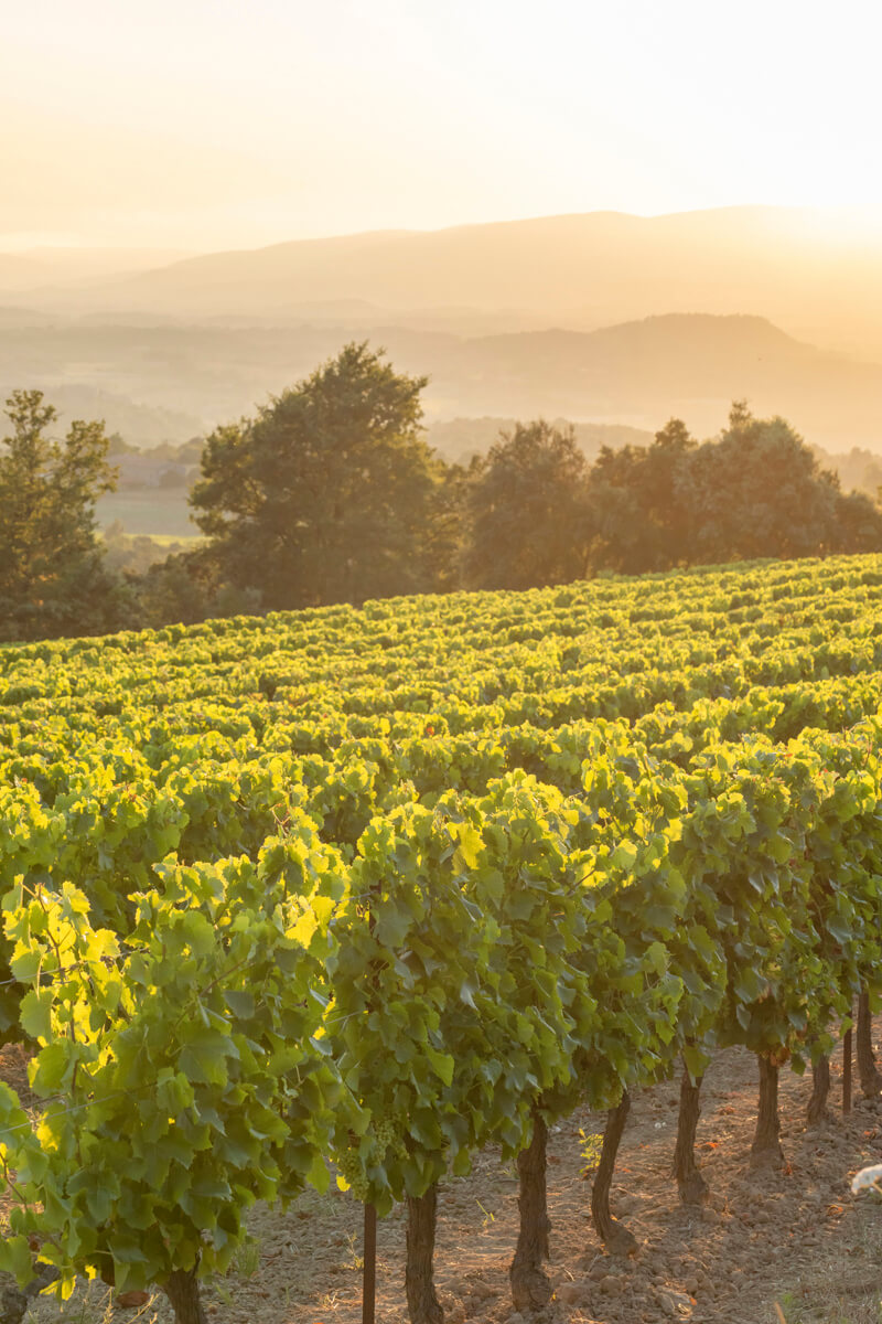 Photo représentative de l'adresse