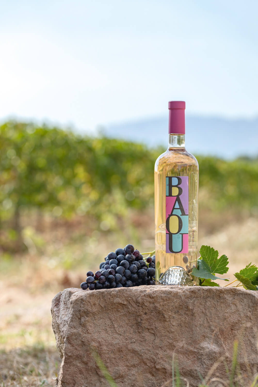 Les Vignerons du Baou