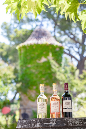 Domaine de l'Olivette
