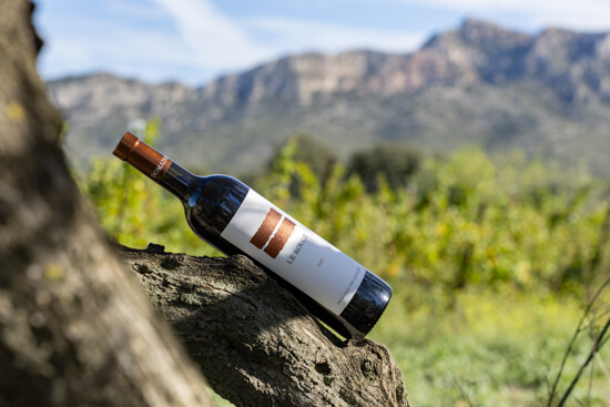 Domaine des Alpilles