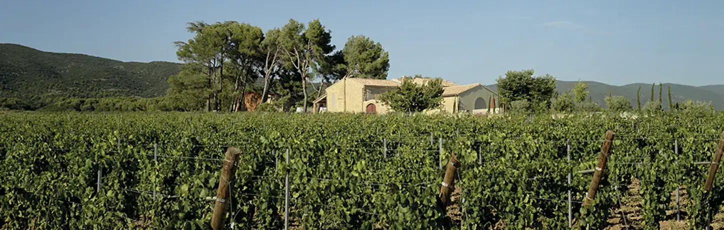 Image de l'adresse