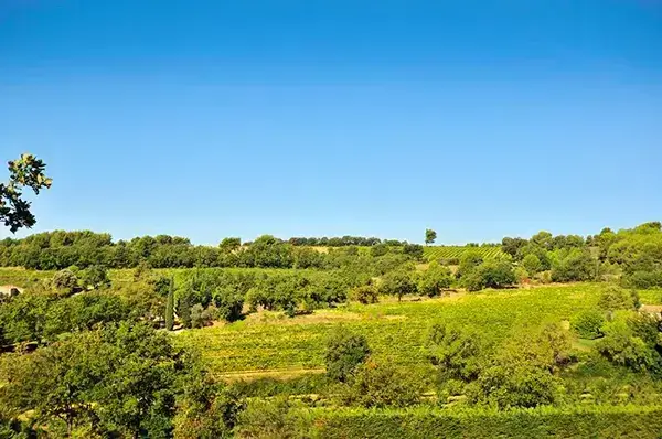 Photo représentative de l'adresse
