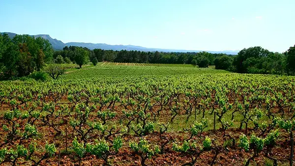 Photo représentative de l'adresse