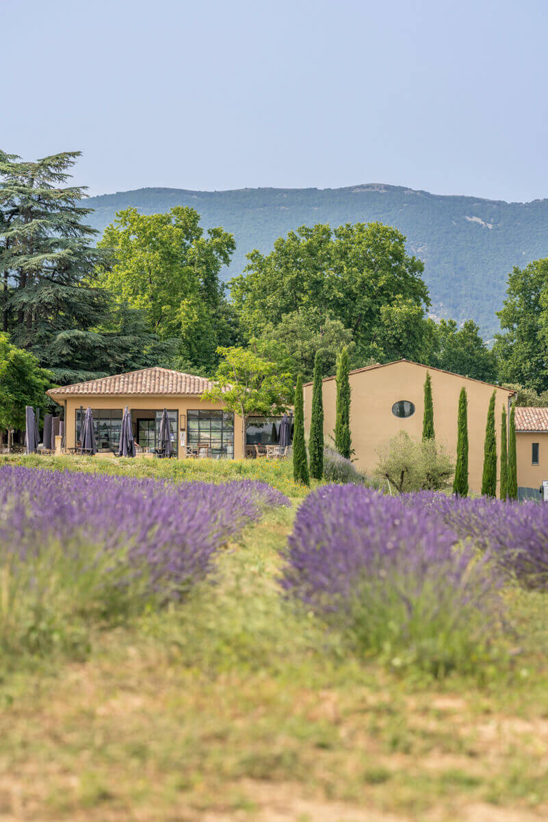 Photo représentative de l'adresse