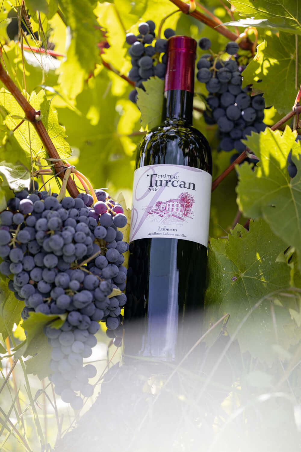 Château Turcan