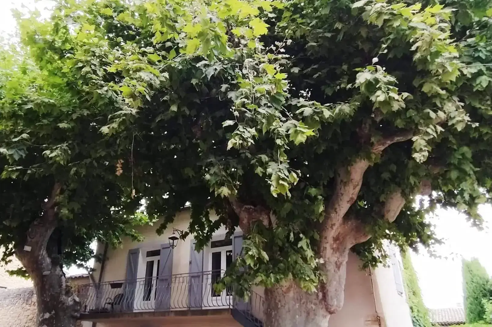 Image de l'adresse