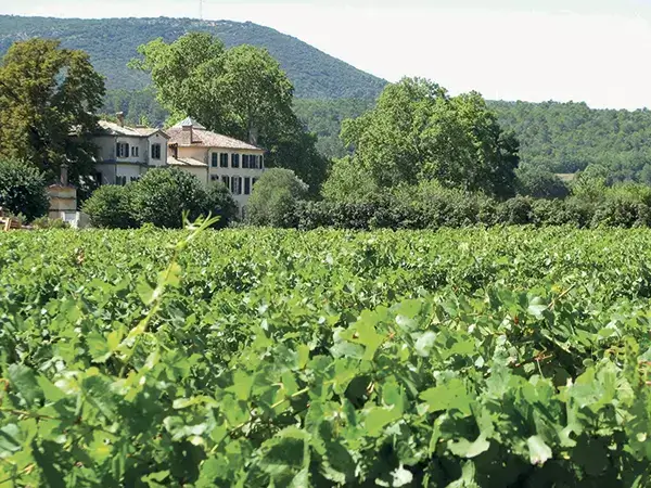 Photo représentative de l'adresse