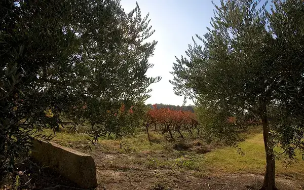 Photo représentative de l'adresse