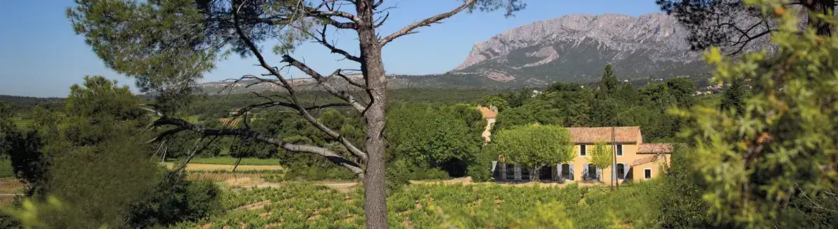 Photo représentative de l'adresse