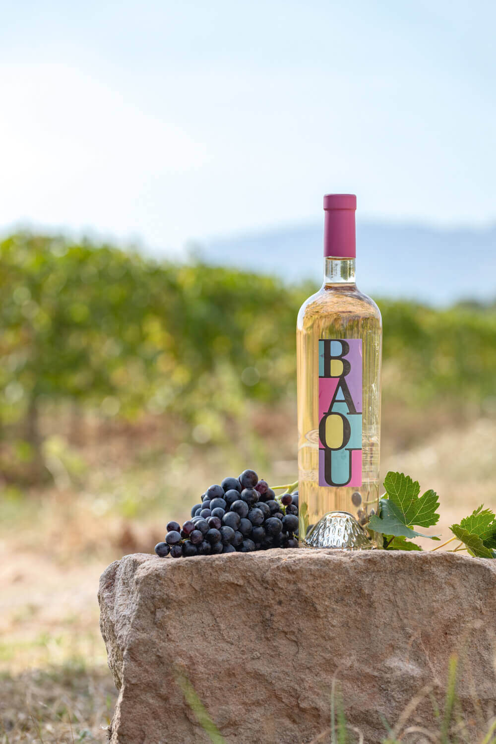 Les Vignerons du Baou
