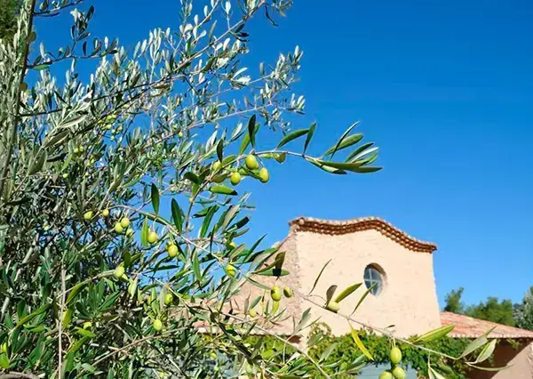 Photo représentative de l'adresse