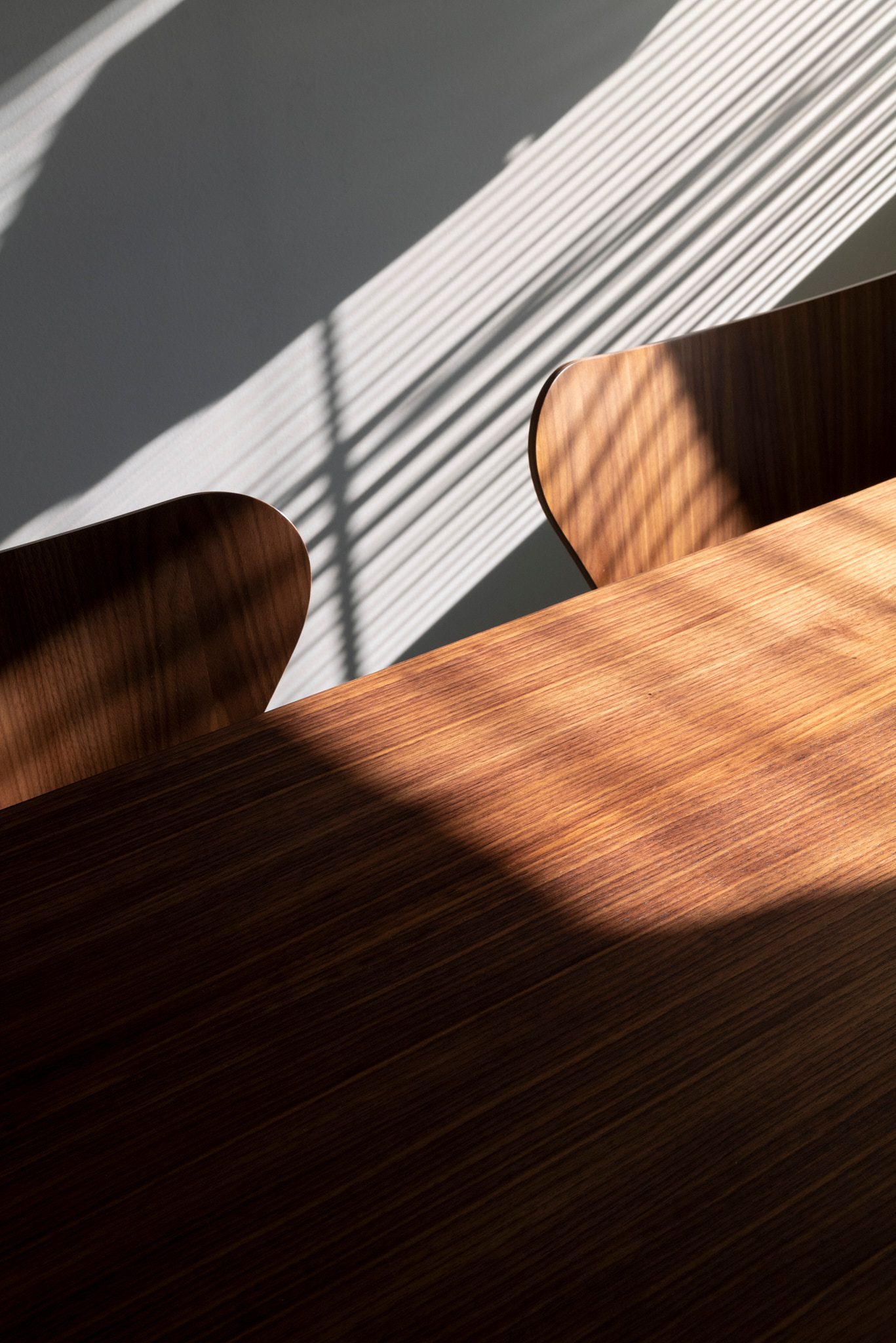 Taraxacum 88 Suspension 1 Lampe