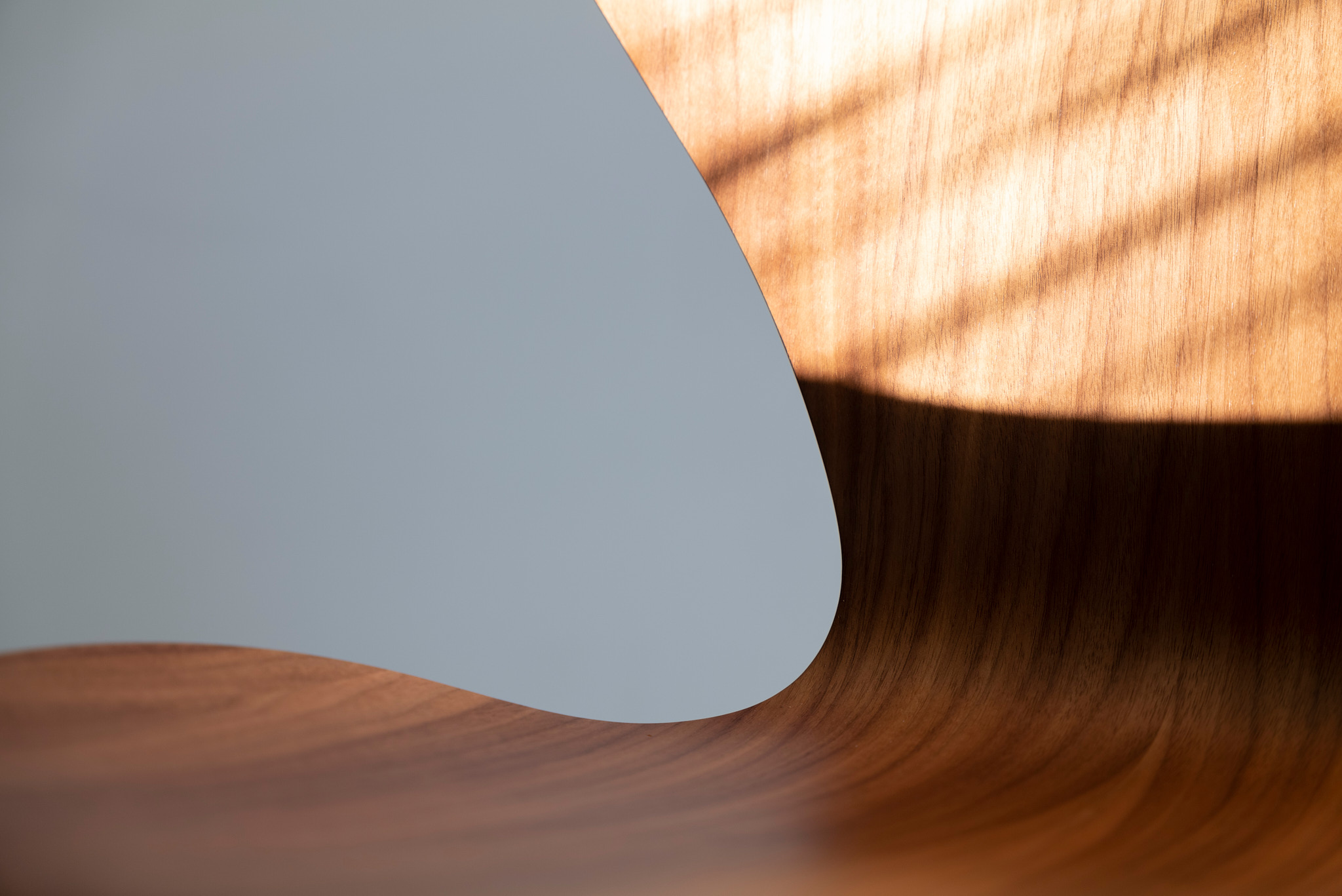 Taraxacum 88 Suspension 1 Lampe