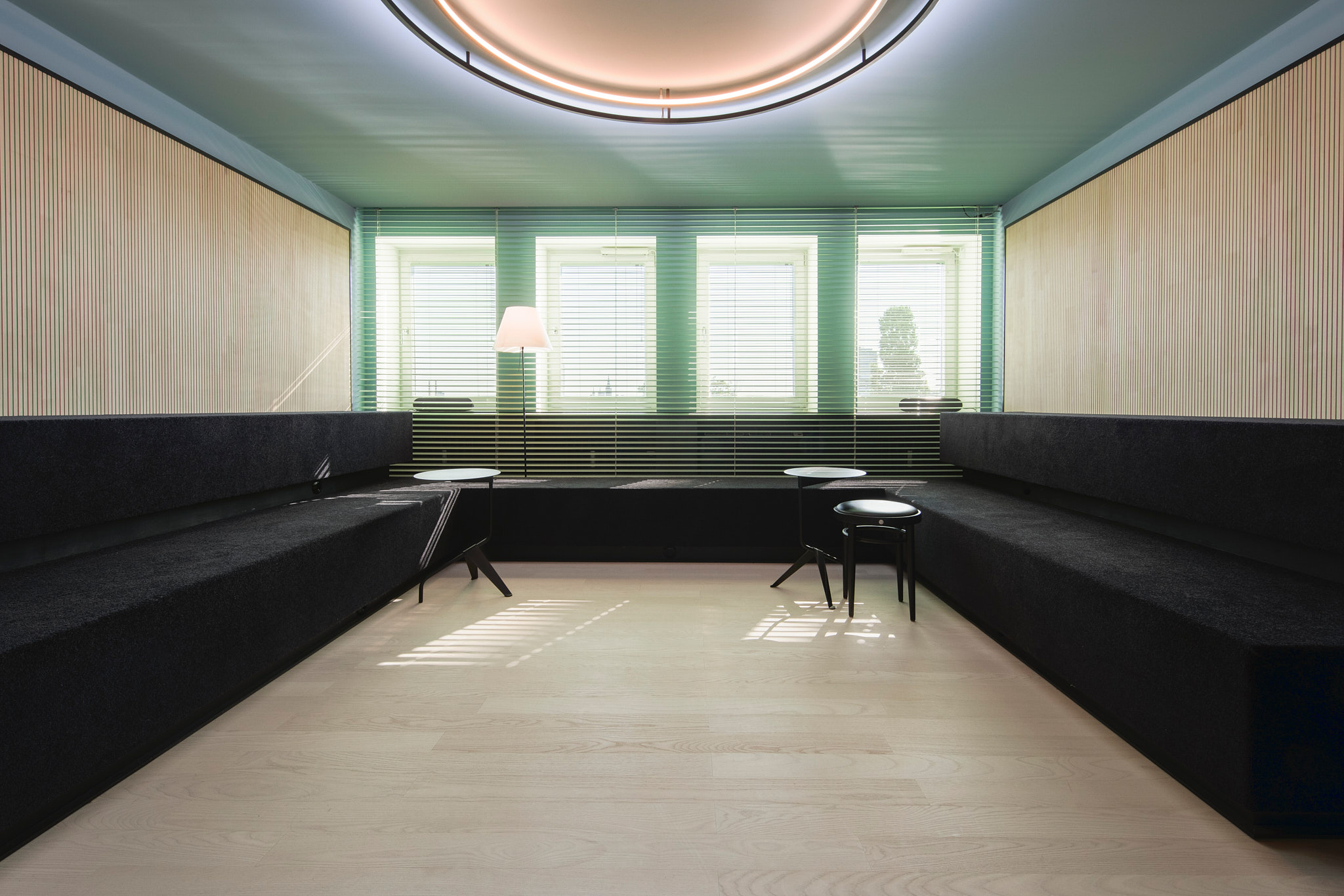 Taraxacum 88 Suspension 1 Lampe
