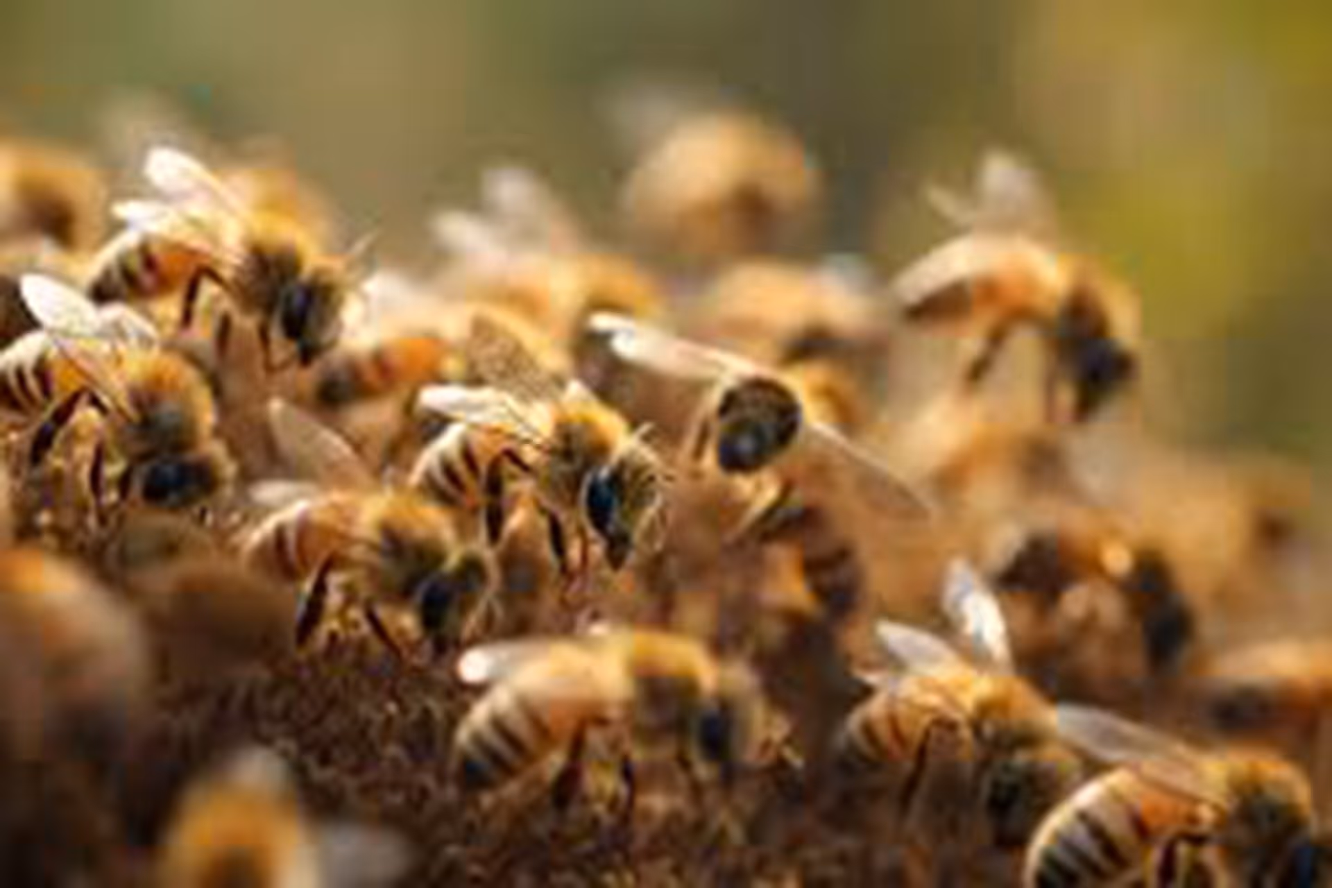 Image principale de la Communication - Ecole Edenpark - Yverdon