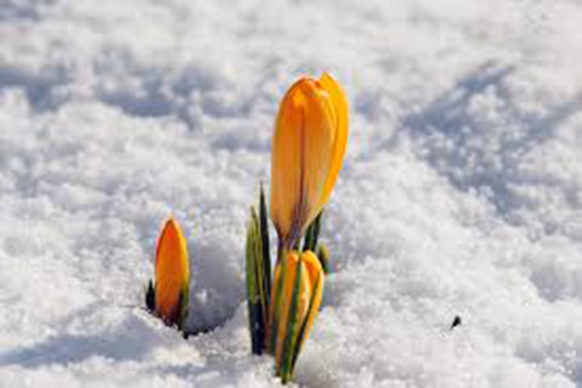 Image principale de la Communication - Ecole Edenpark - Yverdon