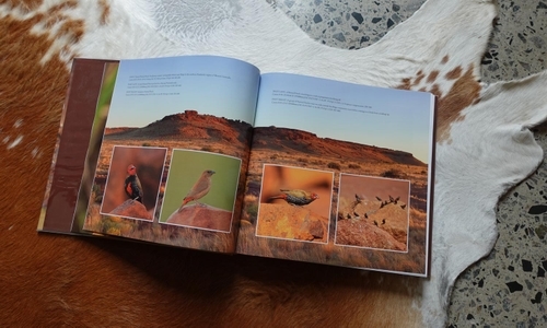 Whale Watching Website