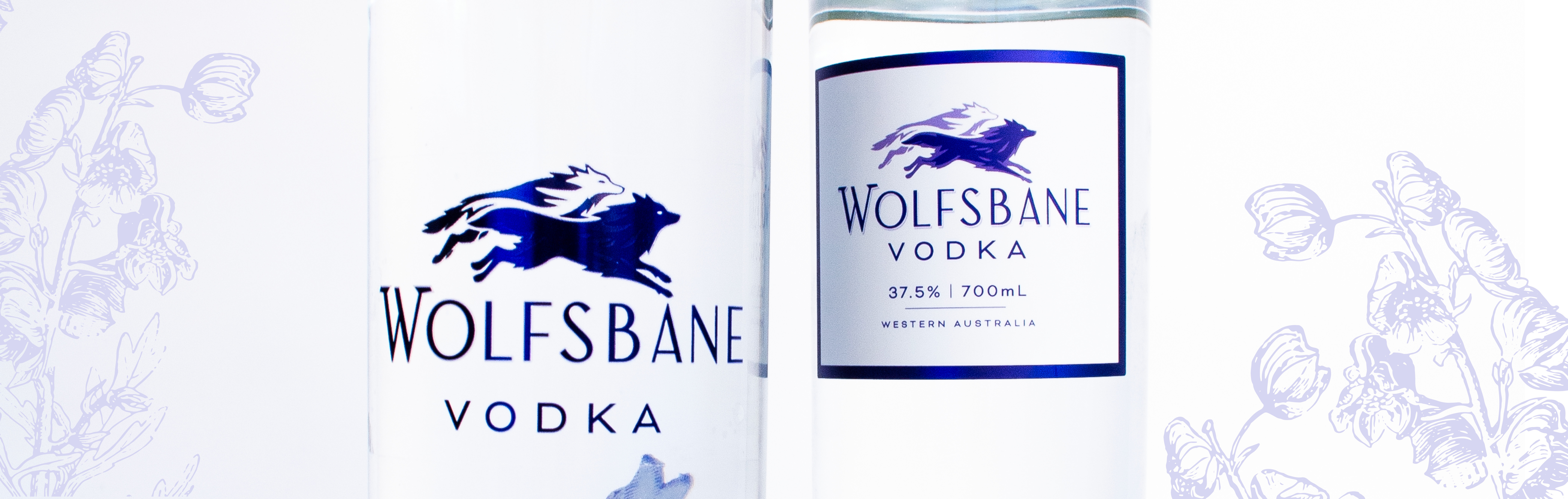 Whale Watching Website