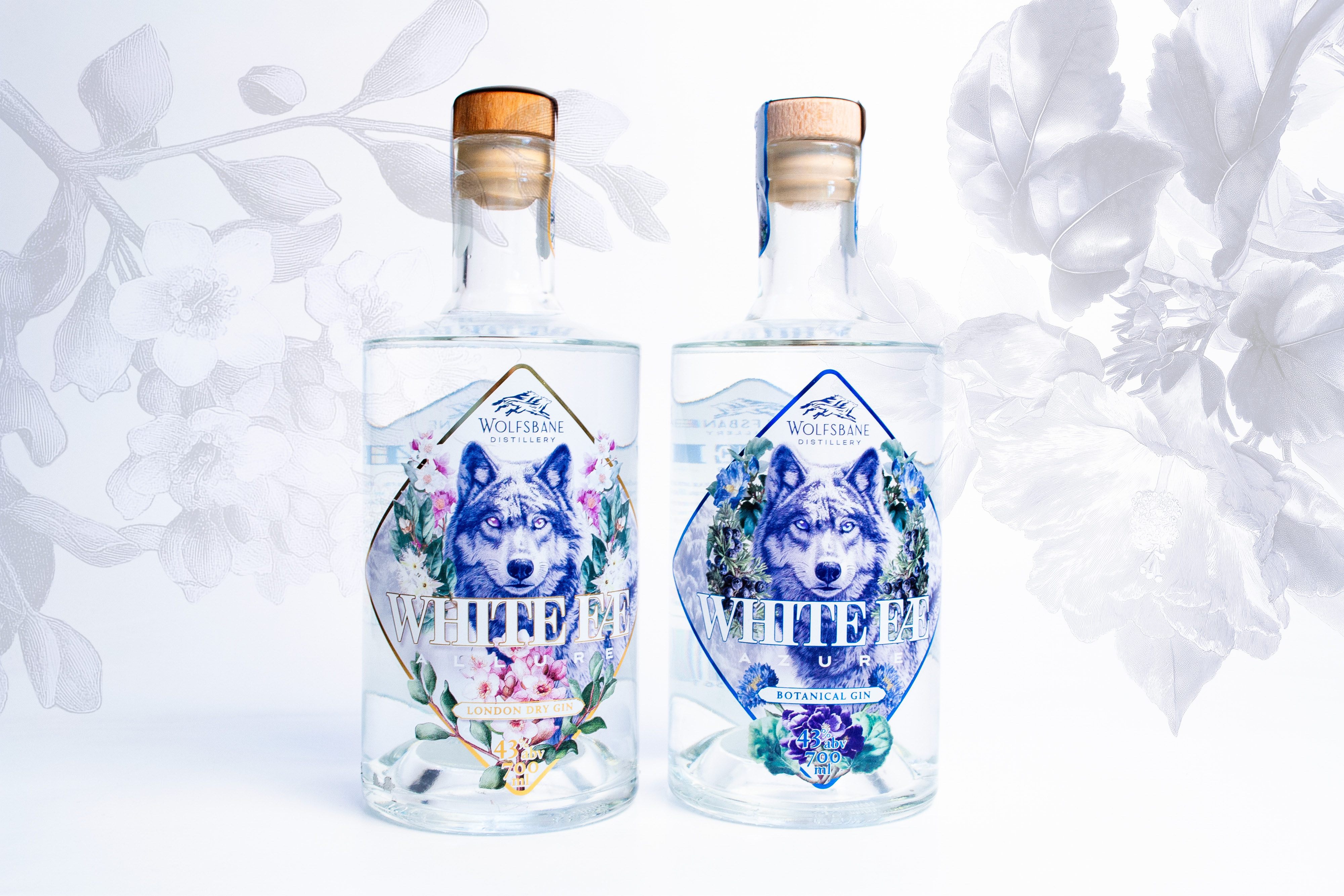 Whale Watching Website