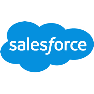 Salesforce icon