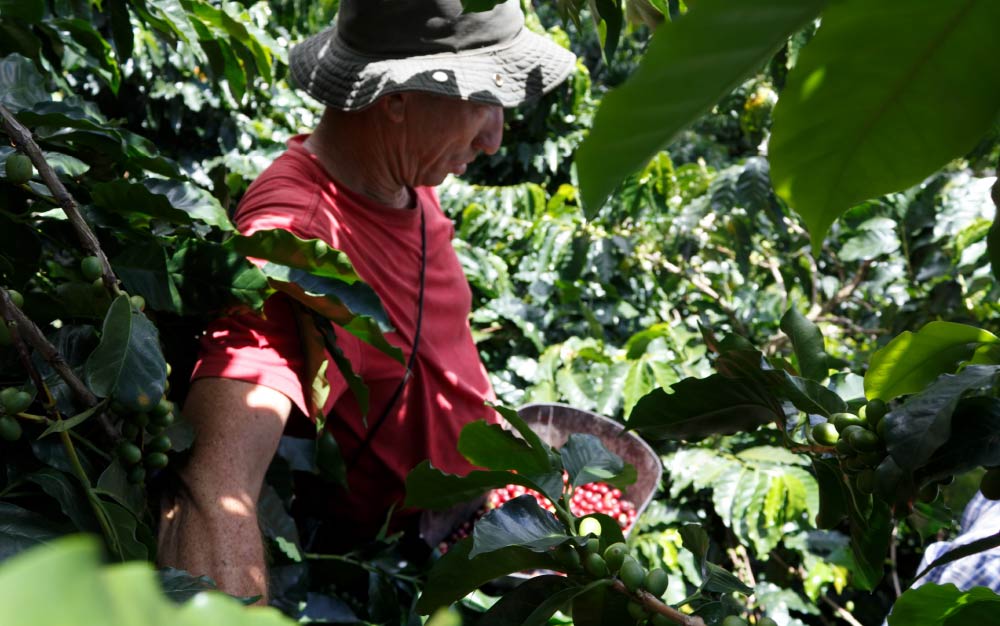 Adolfo Taborda (Lorena’s father) at Finca La Maria in Antioquia, municipio de Titiribí.