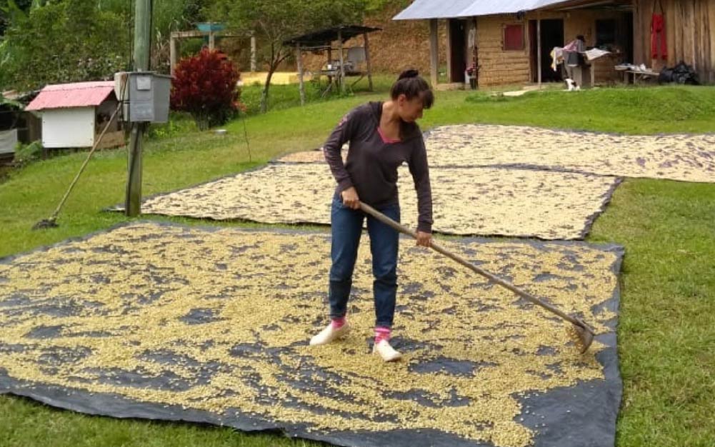 mparo Cardona of Finca La Loma, Antioquia Municipio de San Roque. 