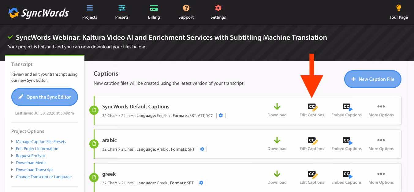 SyncWords captioning tool