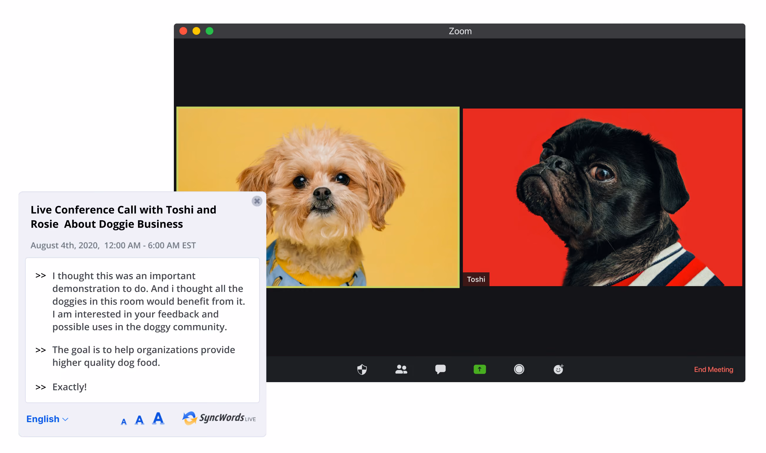 Zoom captions