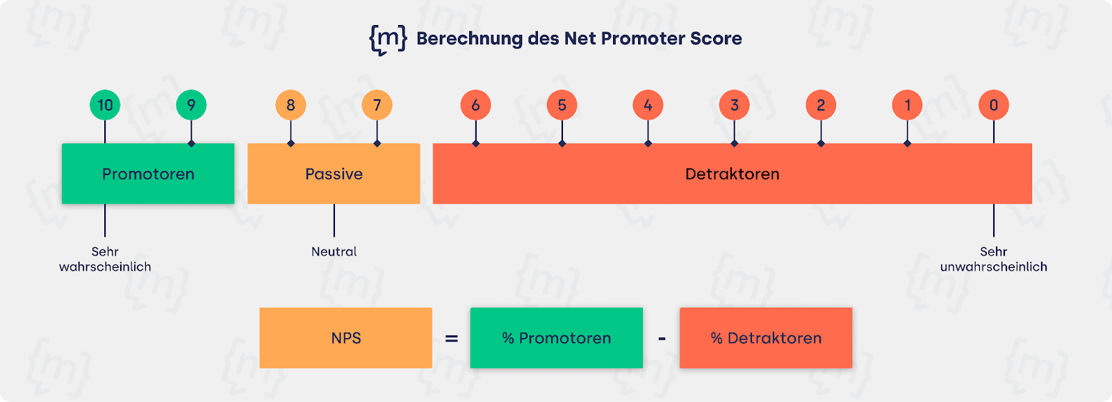 Berechnung des Net Promoter Score (NPS)