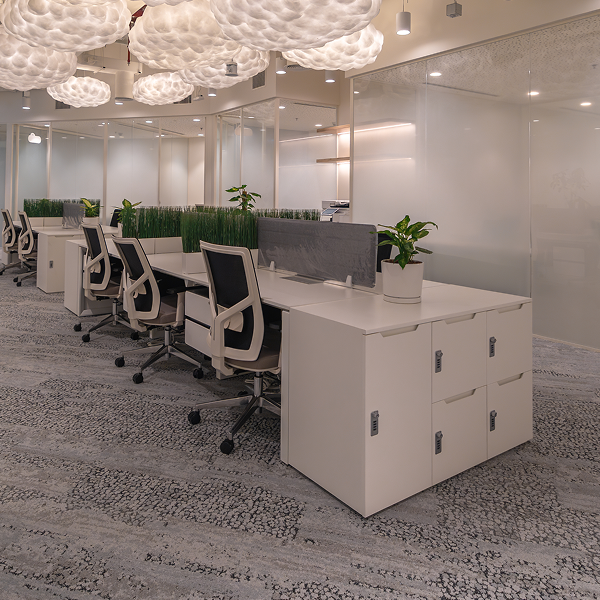 Dedicated Desk - DFV