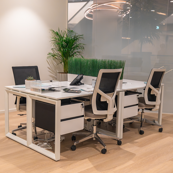 Office Suite - DFV