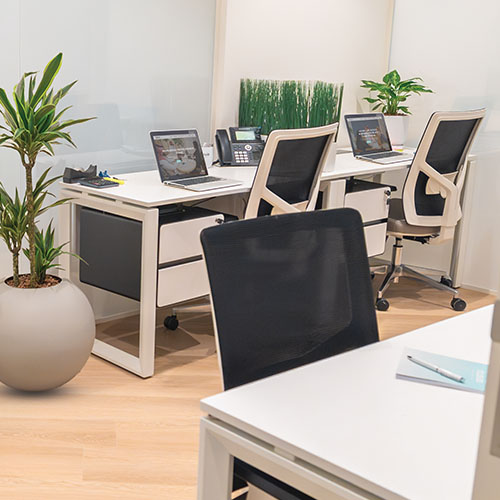 Private coworking desks with laptops and greenery at Cloud Spaces Roshn Front