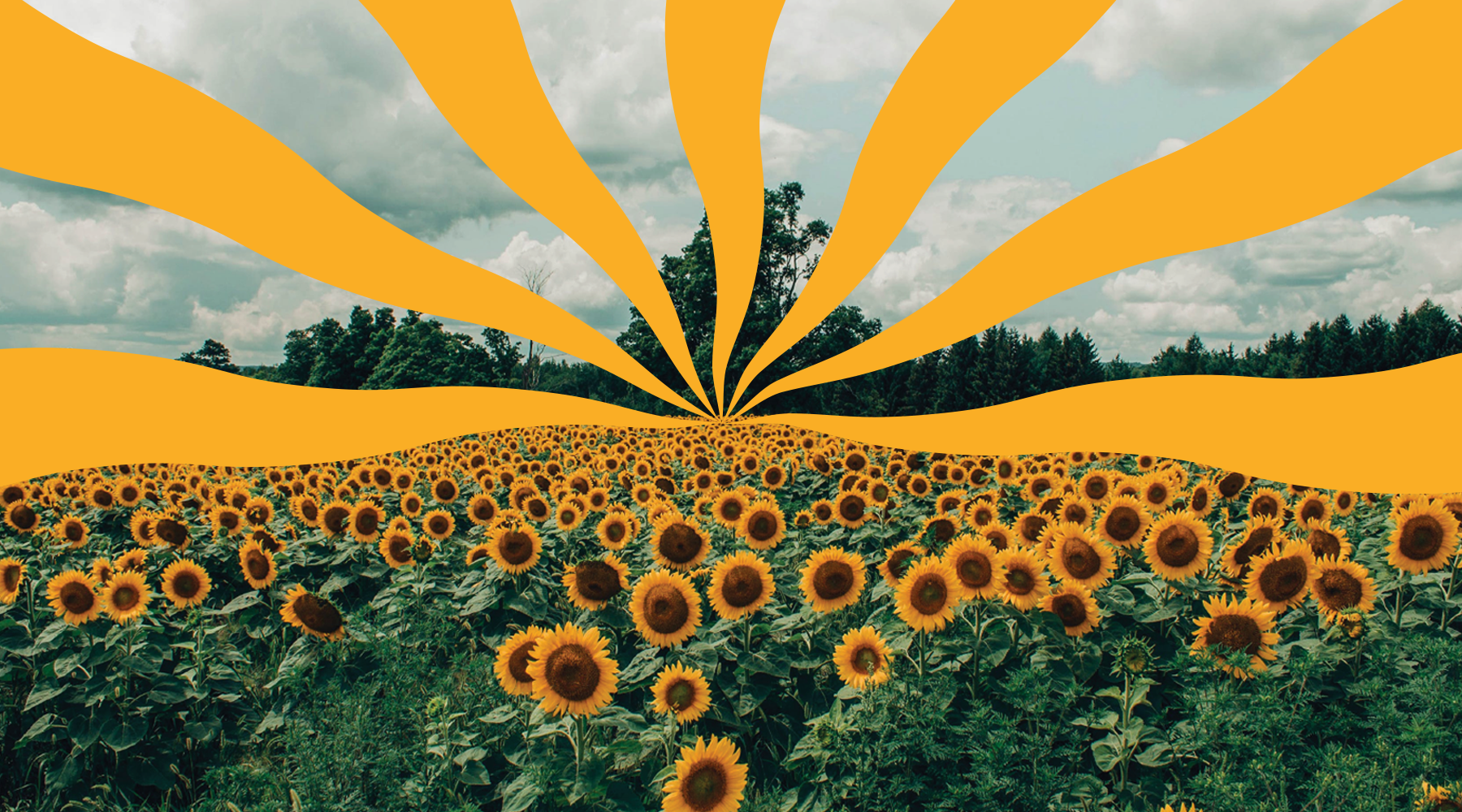 South 40 Snacks — branding project by Old Friend Studio