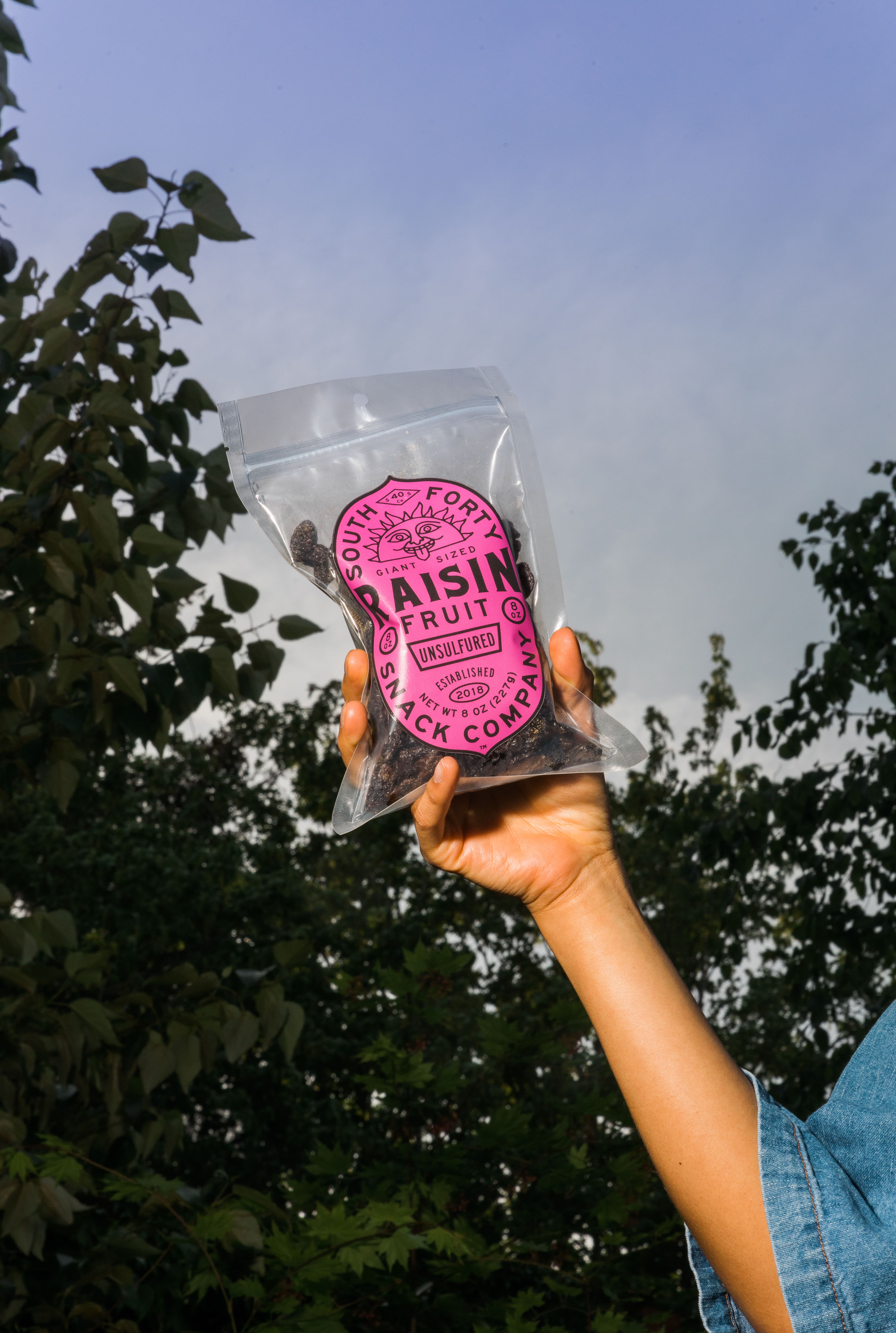 Hand raised holding a South Forty Giant Sized Raisin Fruit bag up against a blue sky and tree canopy