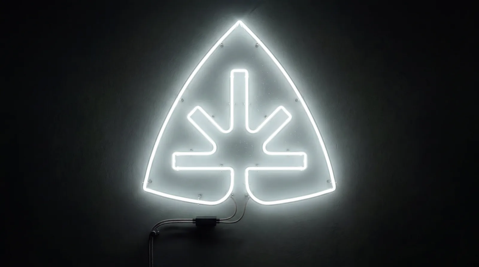 Kaleafa neon sign — branding project by Old Friend Studio