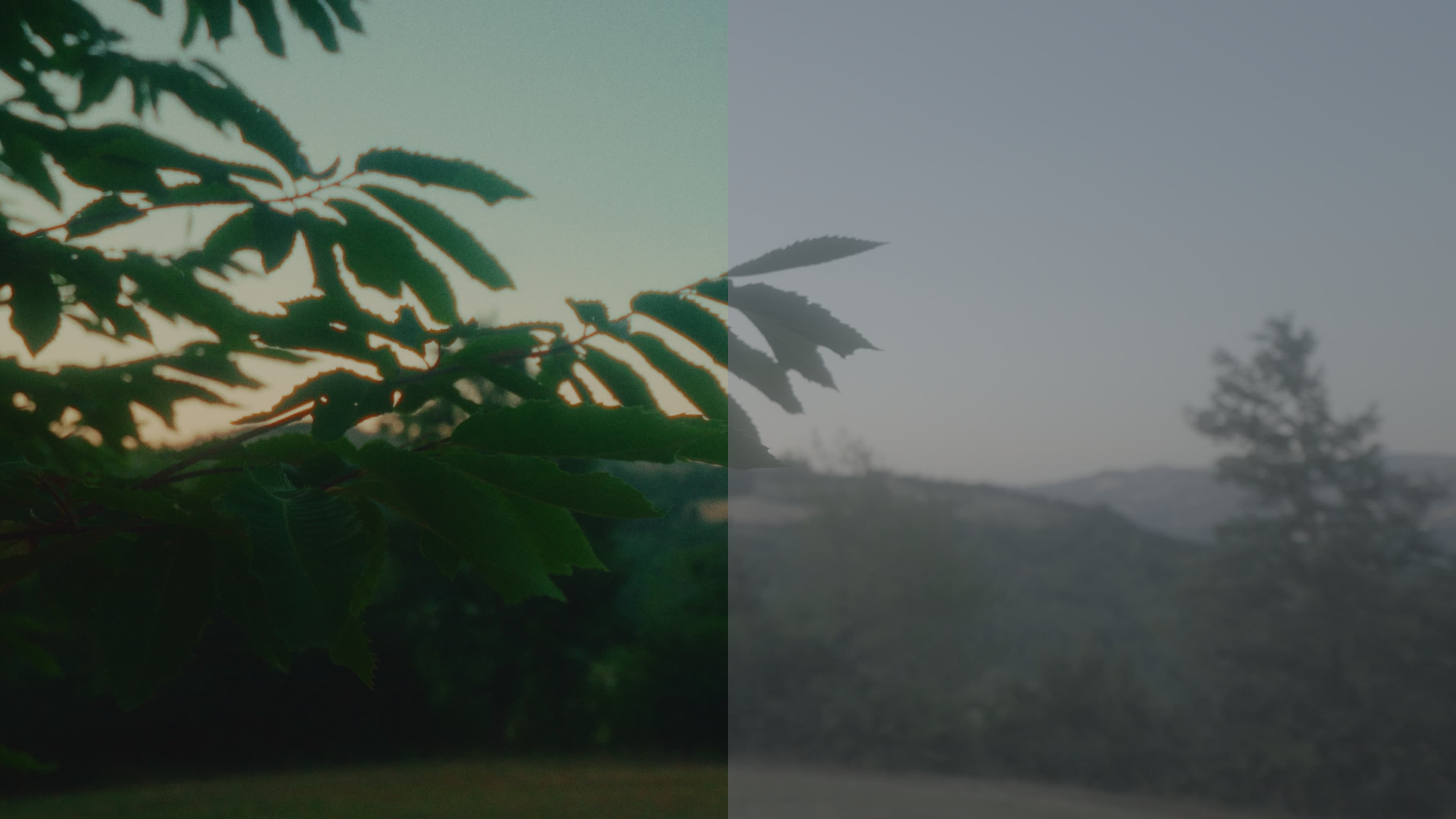 before after colour grading davinci resolve retro vintage film instant