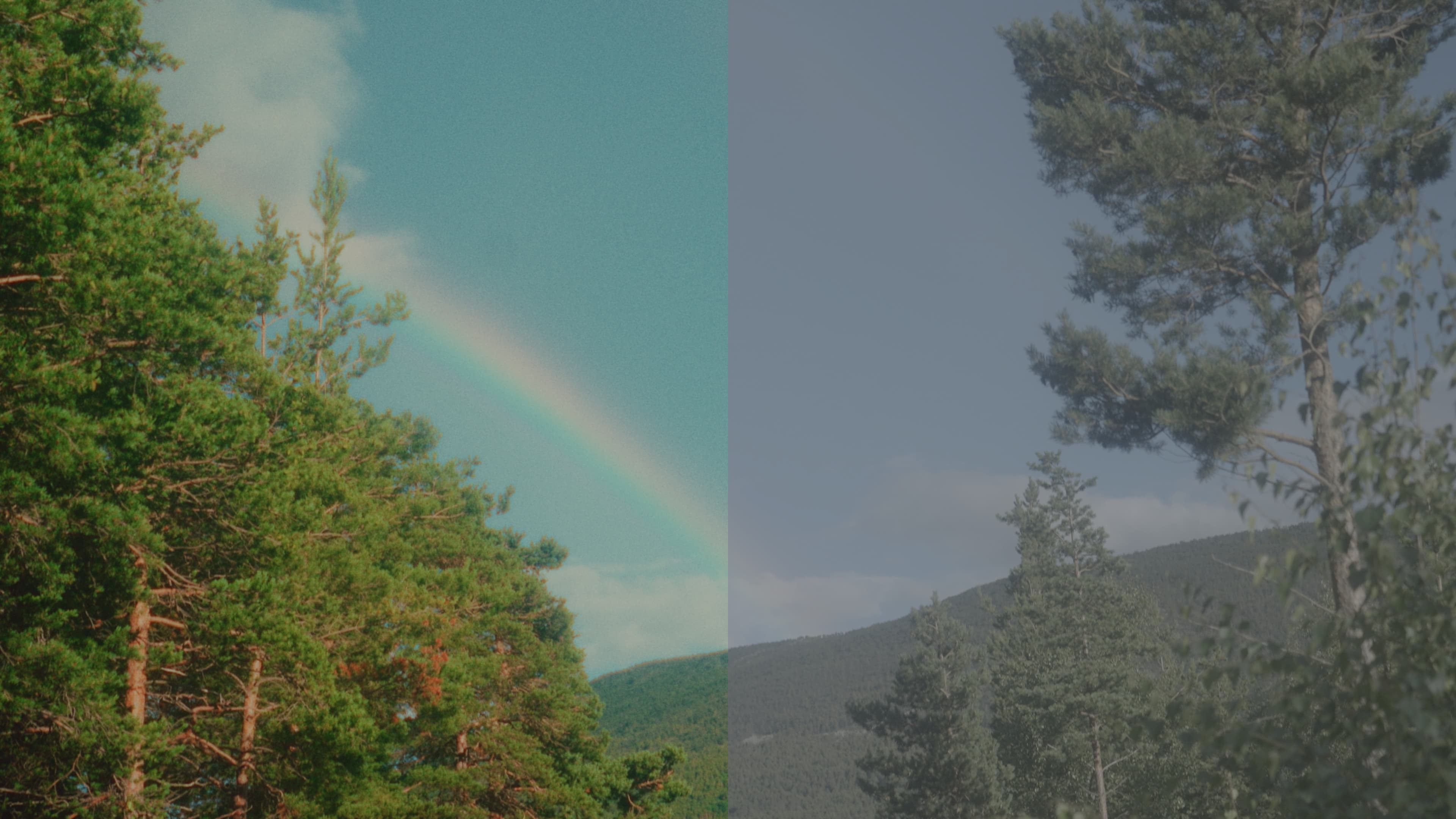 before after colour grading davinci resolve retro vintage film instant