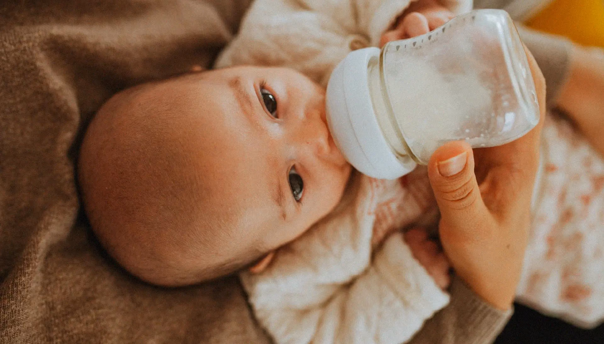 Alimentation bébé