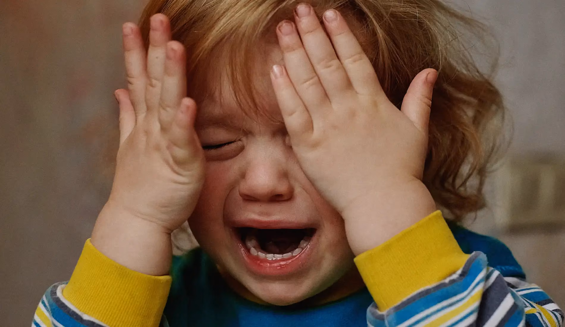 Un petit enfant qui se tient la tête avec ses deux mains et qui pleure parce qu'il s'est cogné.