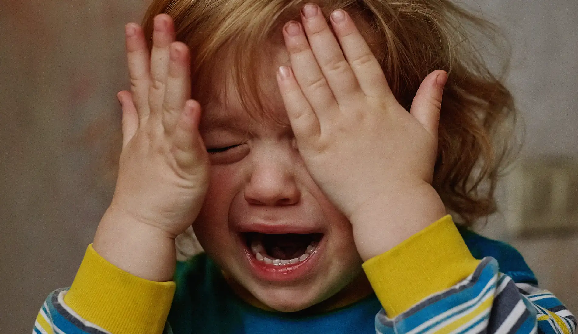 Un petit enfant qui se tient la tête avec ses deux mains et qui pleure.