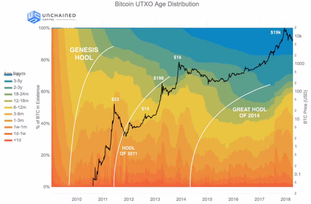 estrategias para investir em criptomoedas - Gráfico de análise de hodl de Bitcoin