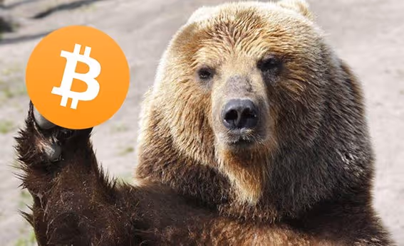 Urso segurando um bitcoin