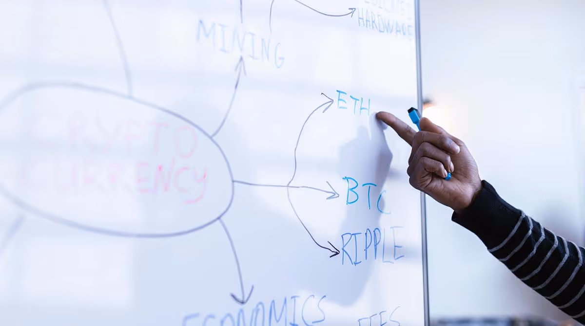 ciclos de mercado das criptomoedas - quadro com o nome de várias criptos