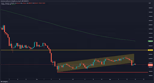 5-top-criptos-da-semana-22-08-btc grafico do bitcoin