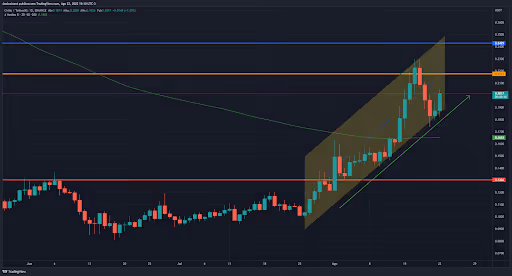 5-top-criptos-da-semana-22-08-grafico de chz