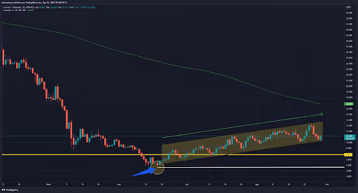 5-top-criptomoedas-da-semana-29-08-grafico de atom